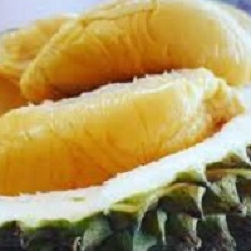 buah durian