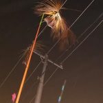 Daun penyebab listrik mati