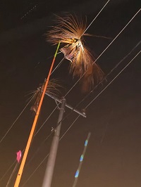 Daun penyebab listrik mati