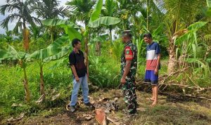 Upaya pencegahan kebakaran hutan dan lahan