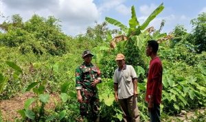 Patroli Tapal Batas Libatkan TNI dan Warga, Wilayah Kateman Terpantau Aman dari Karhutla