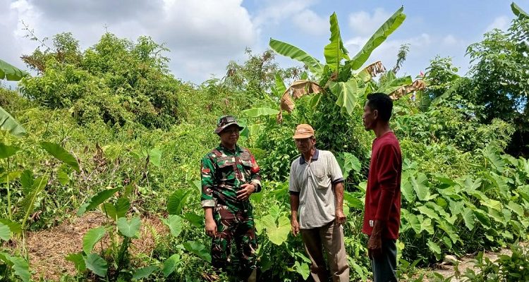 Patroli Tapal Batas Libatkan TNI dan Warga, Wilayah Kateman Terpantau Aman dari Karhutla
