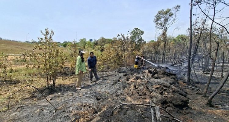 Tinjau Kebakaran Hutan, Ariastuty Imbau Masyarakat Waspadai Setiap Tindakan
