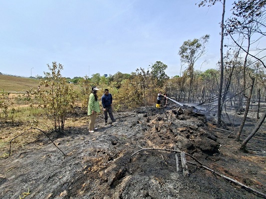 Tinjau Kebakaran Hutan, Ariastuty Imbau Masyarakat Waspadai Setiap Tindakan