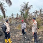 Api Hanguskan Kebun Kelapa Warga di Parit