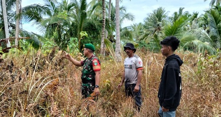 Babinsa Kopda Raja Sihotang Ajak Warga Bersatu Cegah Karhutla, Patroli Tapal Batas Pastikan Wilayah Aman