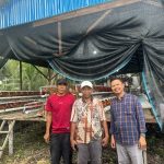 Kades Air Tawar Tinjau Unit Usaha Ayam Petelur BUMDES Pratama