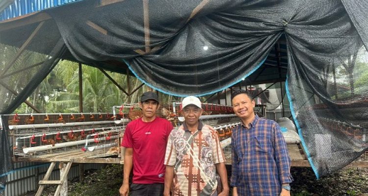 Kades Air Tawar Tinjau Unit Usaha Ayam Petelur BUMDES Pratama