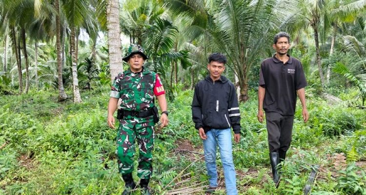 Babinsa Koramil 06/KTM Patroli Tapal Batas di Desa Tunggal Rahayu Jaya