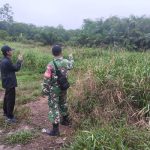 Jaga Stabilitas Perbatasan, Babinsa Koramil 06/Kateman Sisir Jalur Tapal Batas Hibrida Mulya
