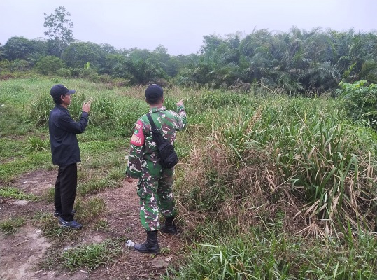 Jaga Stabilitas Perbatasan, Babinsa Koramil 06/Kateman Sisir Jalur Tapal Batas Hibrida Mulya