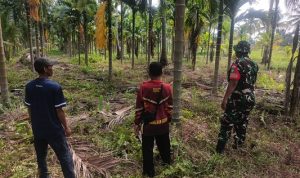 Babinsa Koramil 06/KTM Laksanakan Patroli Tapal Batas di Desa Air Tawar, Pastikan Wilayah Bebas Karhutla