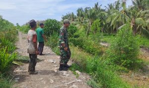 Jamin Keamanan Wilayah Perbatasan, Babinsa Koramil 06/KTM Laksanakan Patroli Tapal Batas di Desa Kuala Selat