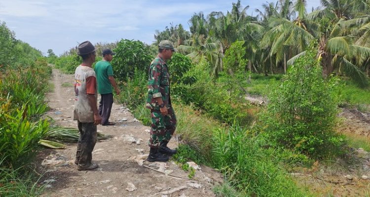 Jamin Keamanan Wilayah Perbatasan, Babinsa Koramil 06/KTM Laksanakan Patroli Tapal Batas di Desa Kuala Selat