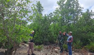 Bersama Masyarakat Kuala Selat, Koptu Deri P pantau lahan masyarakat, pastikan tidak ada titik api (Fhoto Dokumentasi Koramil 06 Kateman)