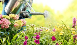 Merawat Bunga (Isitimewa)